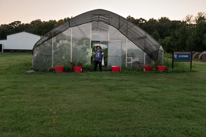 OPEN HOUSE // Landscape / Skyscape / Cityscape: Arts-Centered End-of-Harvest Celebration and Picnic