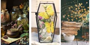 Poka Lola's Butterfly Coffin Mini-World Workshop