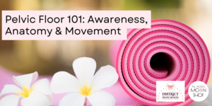 Pelvic Floor 101: Awareness, Anatomy & Movement