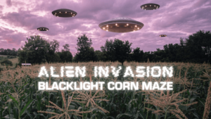 Alien Invasion Blacklight Corn Maze at Wilson's Orchard & Farm