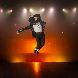 MJ The Illusion