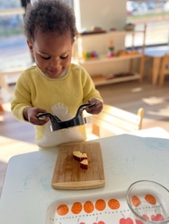 VIRTUAL Toddler Open House