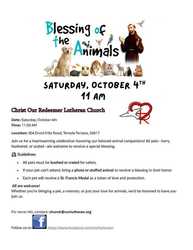 Blessing of the Animals