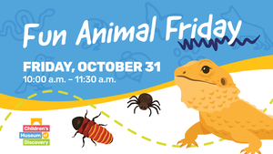 Fun Animal Friday: Spiders, Hissing Cockroaches, & Bearded Dragon