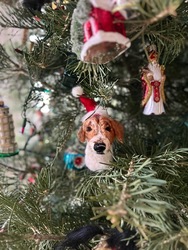 Needle Felted Animals