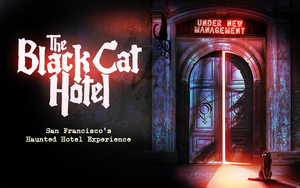 The Black Cat Hotel