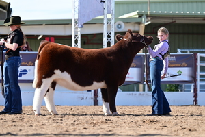 Arizona National Livestock Show