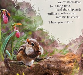 Nature Book and Look