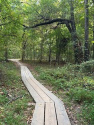 Kids Hiking Club: Kids on the Move