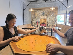 Dungeon Throwers Singles Crokinole Tournament