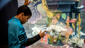 Middle School Career Day @CLEAquarium