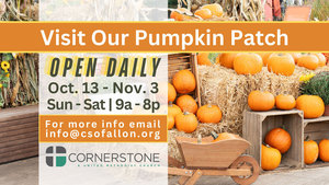 Visit Our Pumpkin Patch!
