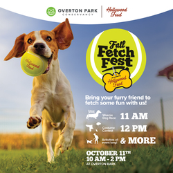 Fall Fetch Fest at Overton Bark