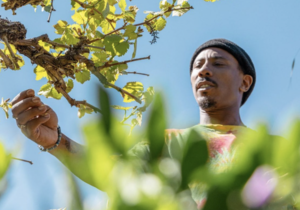 Radical Vines: Chris Renfro’s Mission to Re-Humanize the World Through Wine