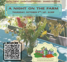 A Night on the Farm