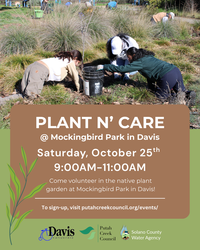 Plant n’ Care @ Davis Mockingbird Park