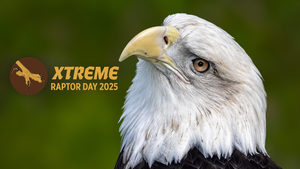 Xtreme Raptor Day 2025