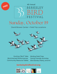 Berkeley Bird Festival