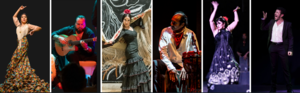 The Texas Flamenco Festival 2025 Celebrates Hispanic Heritage Month!