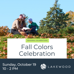 Lakewood Cemetery’s Fall Colors Celebration