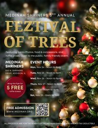 Feztival of Trees in Addison, IL