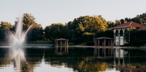 Friends of Carondelet Park Fall Litter Cleanup