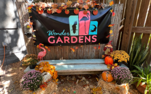 ‘Boo-tanical Evening’ at the Wonder Gardens
