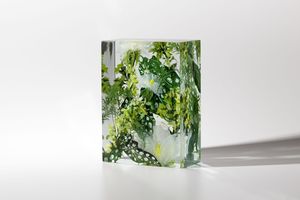 Bronson Shonk | On Perspective