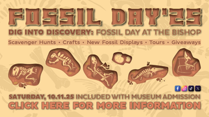 Celebrate National Fossil Day at The Bishop!