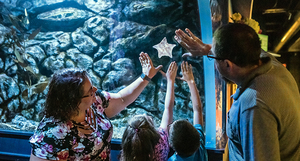 Waves of Appreciation Weekends @CLEAquarium