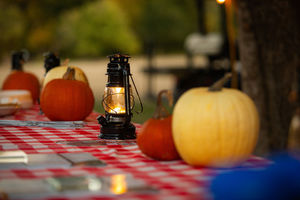 Movie Night at Mollie's