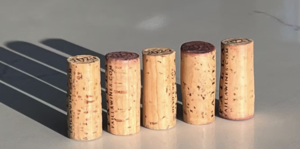 Wine Faults