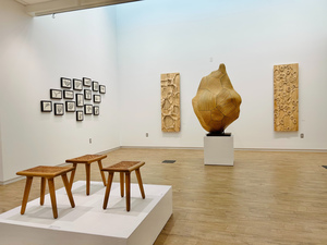 MiraCosta College Art Gallery Presents: DISRUPTED PATHOLOGY