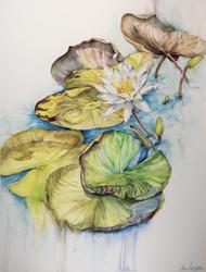 "Avian Grace, Floral Embrace" Artist Talk with Laura Fox-Wallis