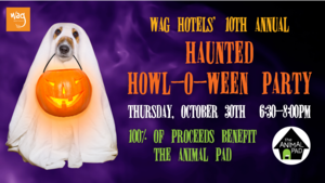Wag Hotels' 10th Annual Haunted Howl-o-ween Party for Dogs!