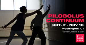 Pilobolus Continuum