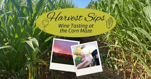 Harvest Sips: Wine Maze at Lyman Orchards Corn Maze