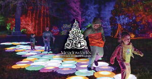 Meadowlark's Winter Walk of Lights