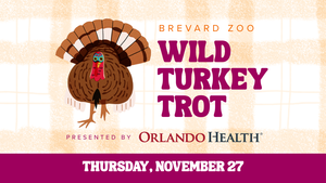 Wild Turkey Trot 3K