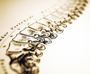 The Low Back: Movement, Awareness and Support