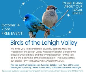 Birds of the Lehigh Valley