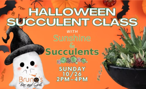 Halloween Succulent Class!