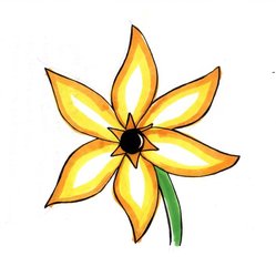 Water-Wise Workshop: Perfect Plant Picks