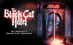 The Black Cat Hotel