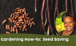 Saving Seeds: Workshop & Seed Swap
