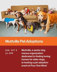 Muttville senior dog adoption event at Some More Dogs art show