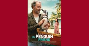 My Penguin Friend