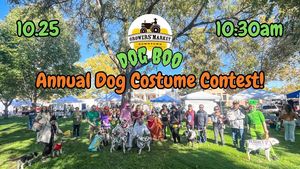 Dogboo Costume Contest at Downtown Growers' Market