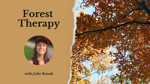Forest Therapy - October Session
