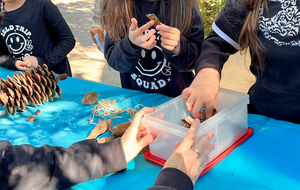 Fall Sensory Friendly Morning